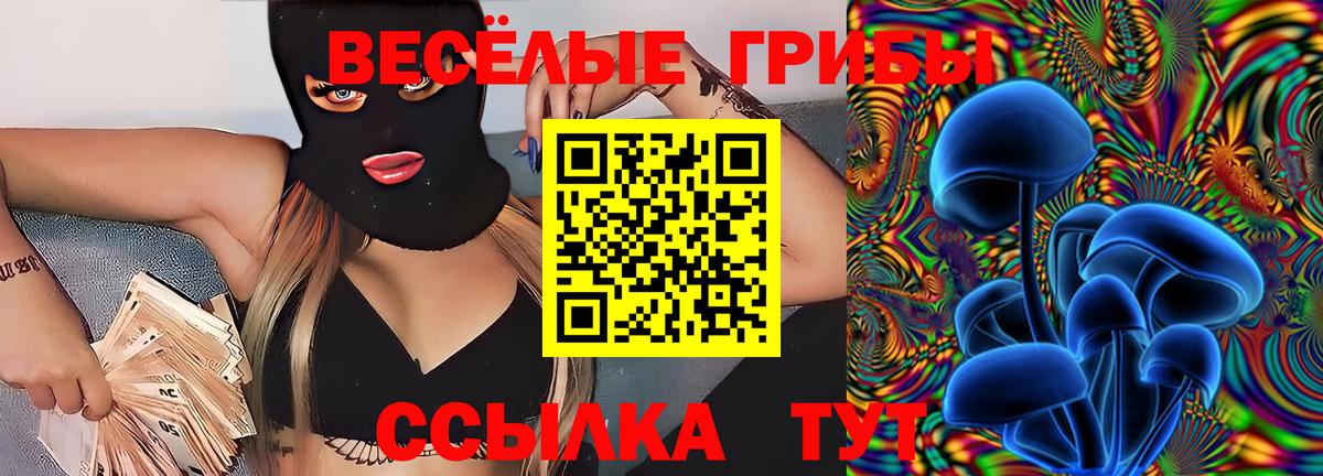 Псилоцибиновые грибы Cubensis  Вход с VPN  Урай 