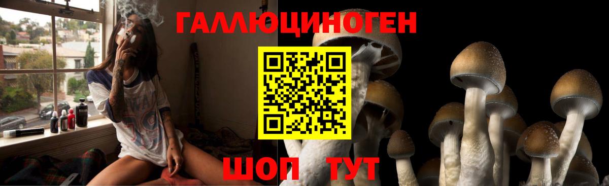 Галлюциногенные грибы Magic Shrooms Урай
